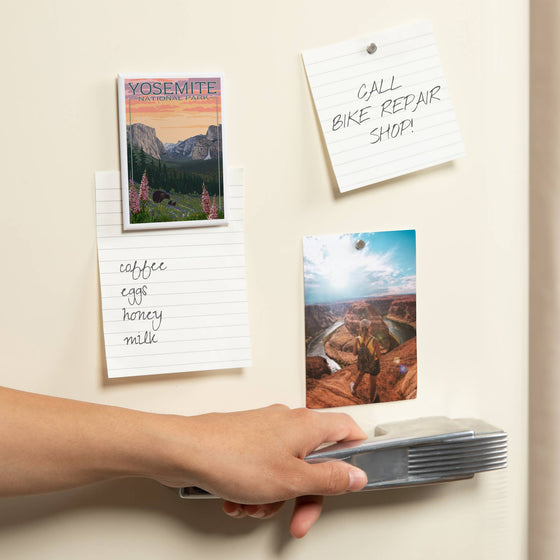 MAGNET Yosemite National Park, California Bears 2